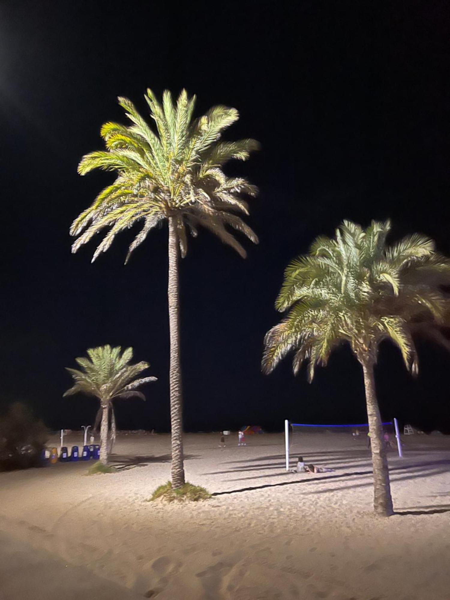 דירות Casa Del Mar 1, Gandia Port With Sea View מראה חיצוני תמונה